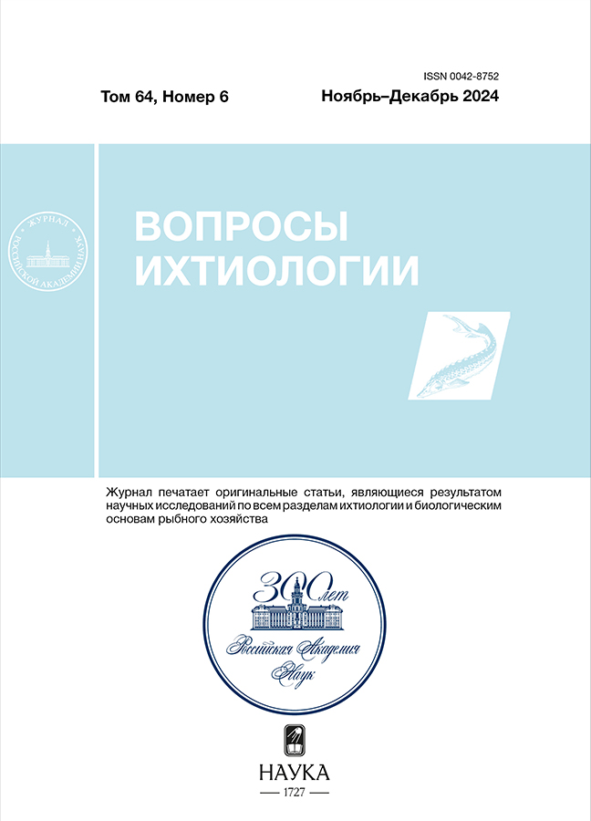 Page Header Logo