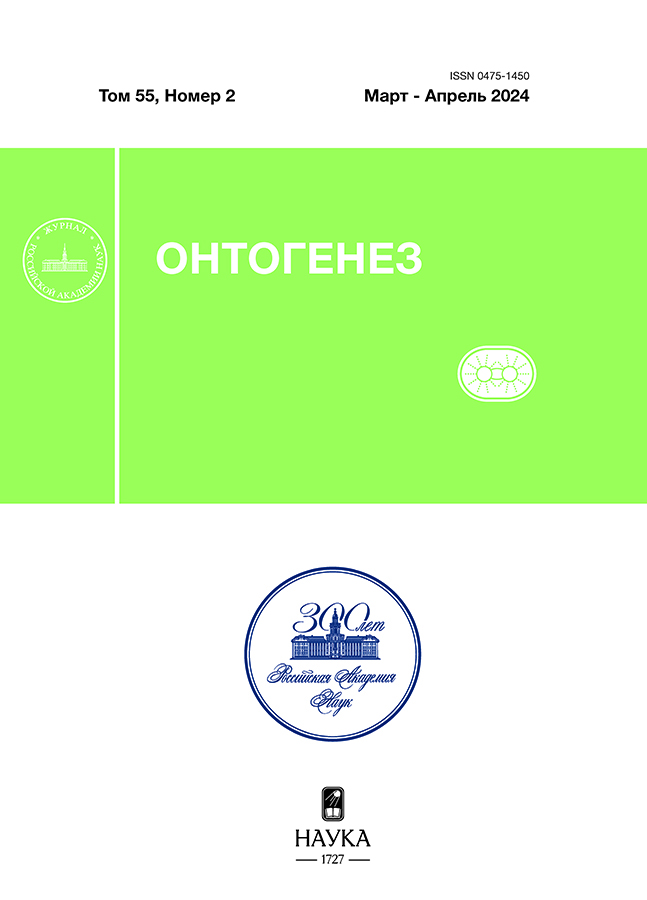 Page Header Logo